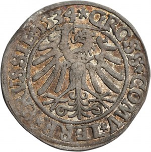 Sigismund I the Old, Grosz for the Prussian lands 1534, Toruń