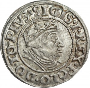 Sigismund I the Old, Grosz 1538, Gdańsk - RARE