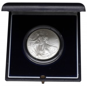 USA, 1 dolár 2001 Strieborný orol