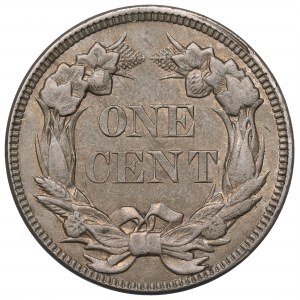 USA, 1 cent 1858