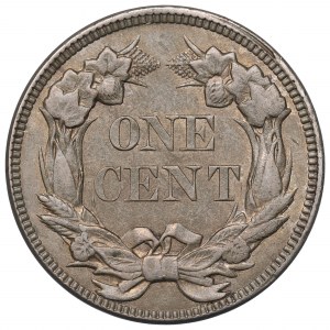 USA, 1 cent 1858