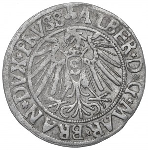Germany, Preussen, Albrecht Hohenzollern, Groschen 1541, Konigsberg