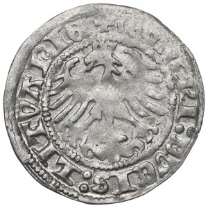 Sigismund I the Old, Halfgroat 1513, Vilnius