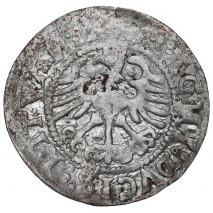 Sigismund I the Old, Halfgroat 1524, Vilnius