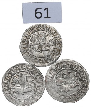Sigismund I the Old, Set of half-penny 1509-12, Vilnius