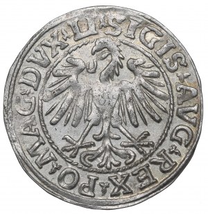 Sigismund II Augustus, Halfgroat 1548, Vilnius