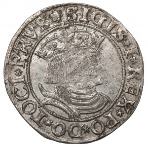 Zygmunt I Stary, Grosz dla ziem pruskich 1531, Toruń - PRVS/PRVS
