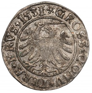 Sigismund I the Old, Grosz for Prussian lands 1531, Torun - PRVS/PRVS