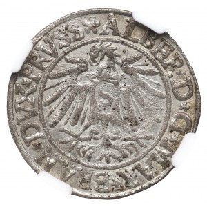 Germany, Preussen, Albrecht Hohenzollern, Groschen 1538, Konigsberg - NGC MS62