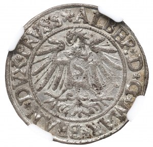Germany, Preussen, Albrecht Hohenzollern, Groschen 1538, Konigsberg - NGC MS62