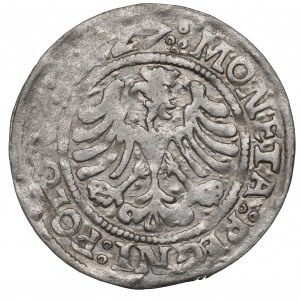 Sigismund I the Old, Groschen 1527, Cracow