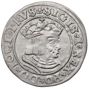 Sigismund I the Old, Groschen for Prussia 1529, Thorn