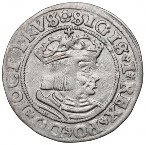 Sigismund I the Old, Groschen for Prussia 1529, Thorn