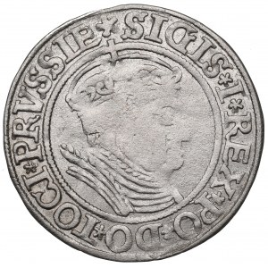 Sigismund I the Old, Groschen for Prussia 1534, Thorn
