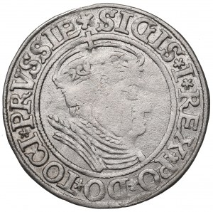 Sigismund I the Old, Groschen for Prussia 1534, Thorn