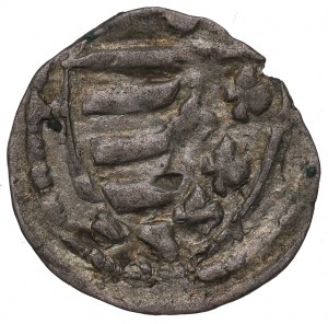 Ludwik Węgierski, Denarius without date, Cracow - O over the shield