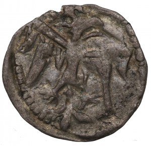 Ludwik Węgierski, Denarius without date, Cracow - O over the shield