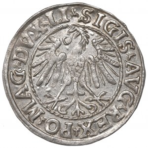 Sigismund II Augustus, Halfgroat 1547, Vilnius