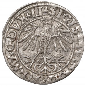 Sigismund II Augustus, Halfgroat 1550, Vilnius