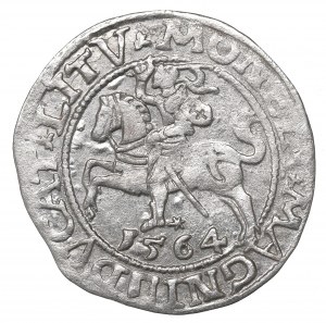 Sigismund II Augustus, Halfgroat 1564, Vilnius - L/LITV