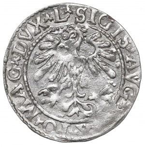 Sigismund II Augustus, Halfgroat 1559, Vilnius