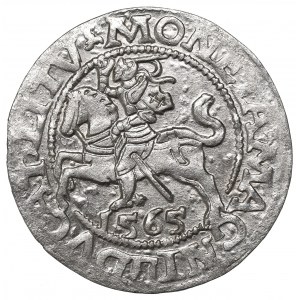 Sigismund II Augustus, Halfgroat 1565, Vilnius - L/LITV