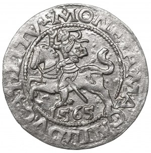 Sigismund II Augustus, Halfgroat 1565, Vilnius - L/LITV