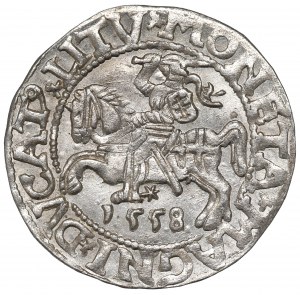 Sigismund II Augustus, Halfgroat 1558, Vilnius