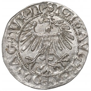 Sigismund II Augustus, Halfgroat 1558, Vilnius