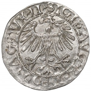 Sigismund II Augustus, Halfgroat 1558, Vilnius