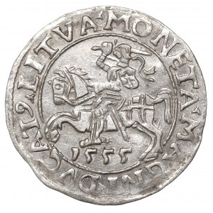 Sigismund II Augustus, Halfgroat 1555, Vilnius - LI/LITVA