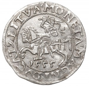 Sigismund II Augustus, Halfgroat 1555, Vilnius - LI/LITVA