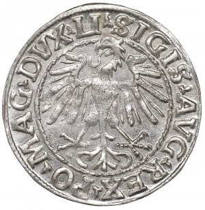 Sigismund II Augustus, Halfgroat 1548, Vilnius