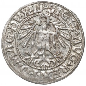 Sigismond II Auguste, demi-penny 1549, Vilnius - LI/LITVA