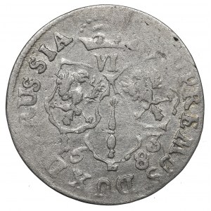 Germany, Preussen, 6 groschen 1683, Konigsberg
