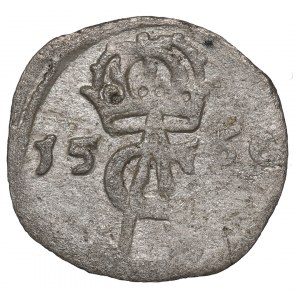 Sigismund II Augustus, 2 denarii 1566, Vilnius