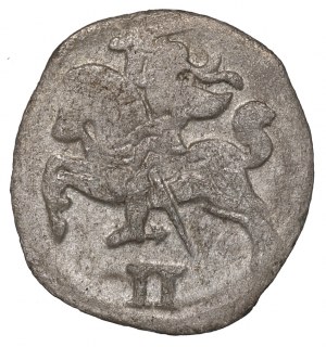 Sigismund II Augustus, 2 denarii 1566, Vilnius