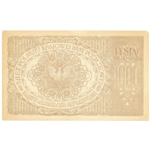 II RP, 1000 marek polskich 1919 ZX