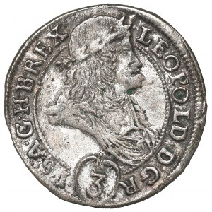 Ungarn, Leopold I., 3 Krajcars 1695