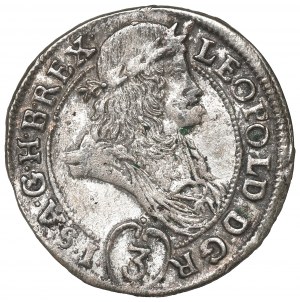 Hungary, 3 kreuzer 1695