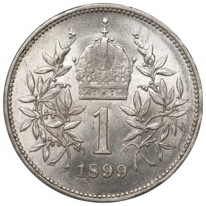 Austria, Franz Joseph, 1 crown 1899