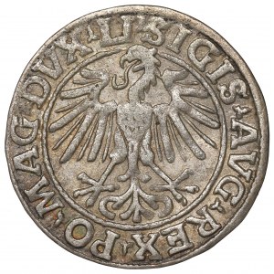 Sigismund II Augustus, Halfgroat 1548, Vilnius