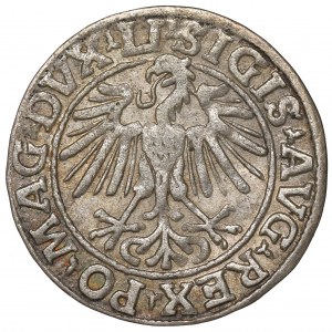 Sigismund II Augustus, Halfgroat 1548, Vilnius