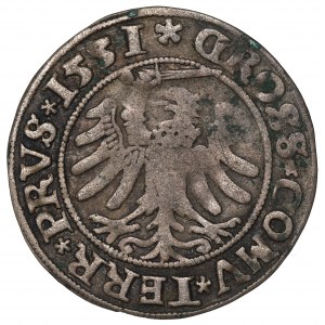 Zygmunt I Stary, Grosz dla ziem pruskich 1531, Toruń - PRVS/PRVS