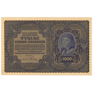 II RP, 1000 marek polskich 1919 III Serja D