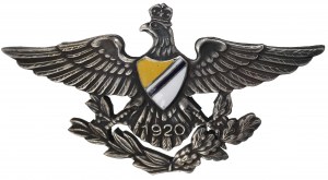 Poland, Badge of the 27th Uhlan Regiment - copy