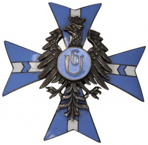 Poland, Badge of the 6th Kaniowski Cavalry Regiment - copy