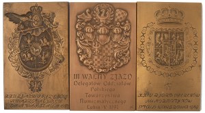 PTAiN and PTN convention badge set