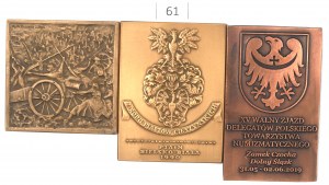 PTAiN and PTN badge set