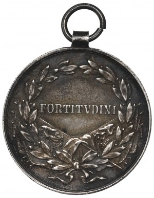 Austria-Hungary, Charles, Fortitvdini Medal